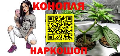 ECSTASY Канаш