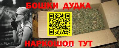 ECSTASY Камышлов