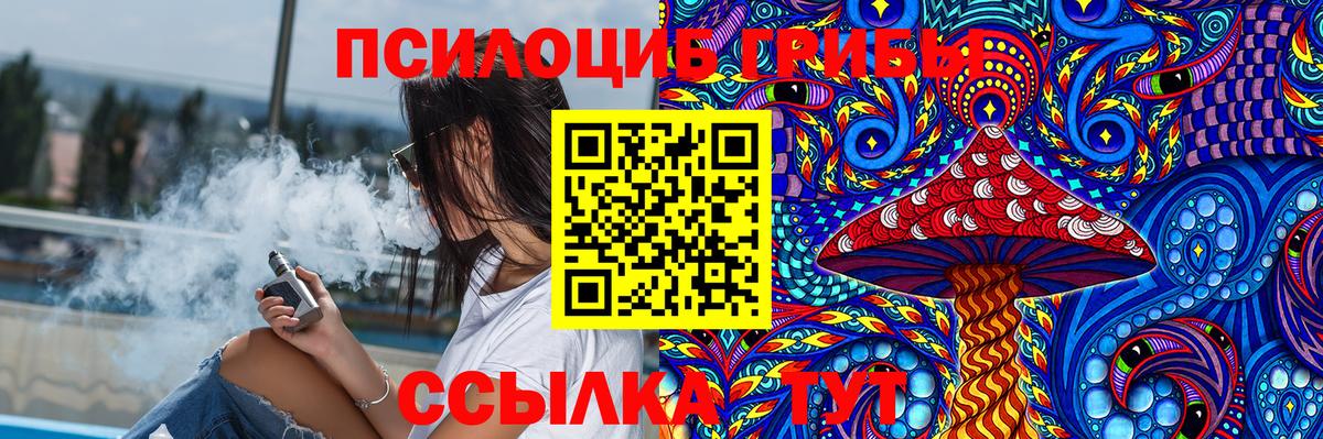 купить  цена  Псилоцибиновые грибы мухоморы  Вход с VPN  Кунгур 